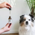 An image with a dog on the left and 2 hands holding the tincture bottle and dropper of the product